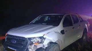 Accidente en Ruta 250: un choque inesperado con una vaca deja a los ocupantes ilesos