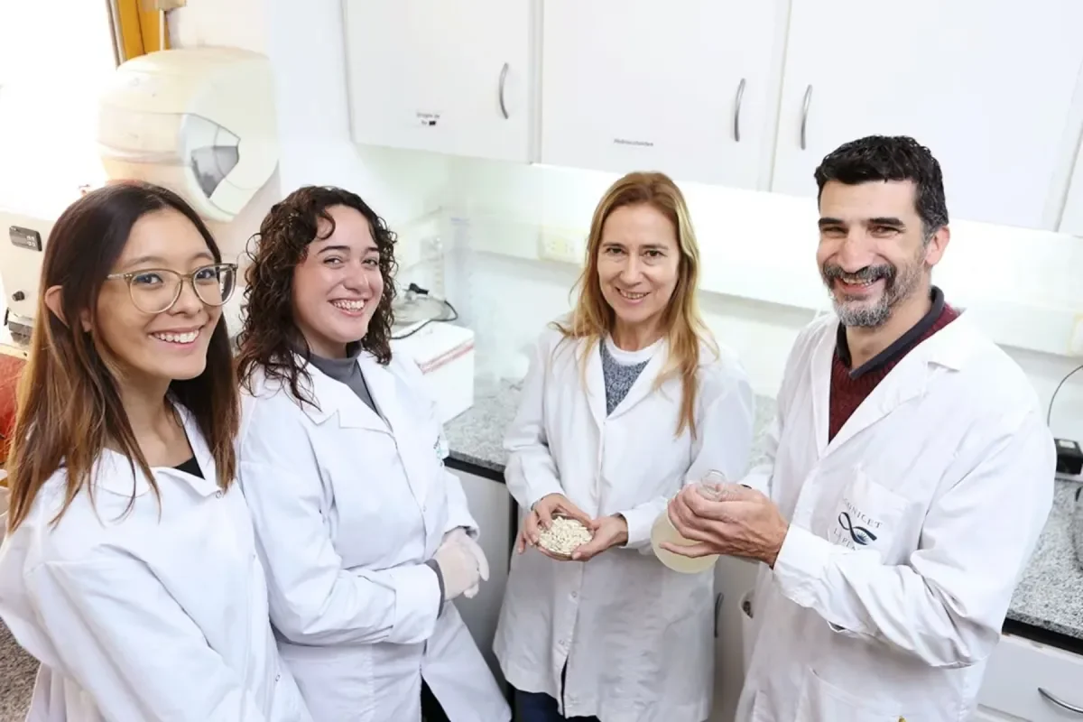 Científicos argentinos revelan sorprendentes usos del agua de los garbanzos
