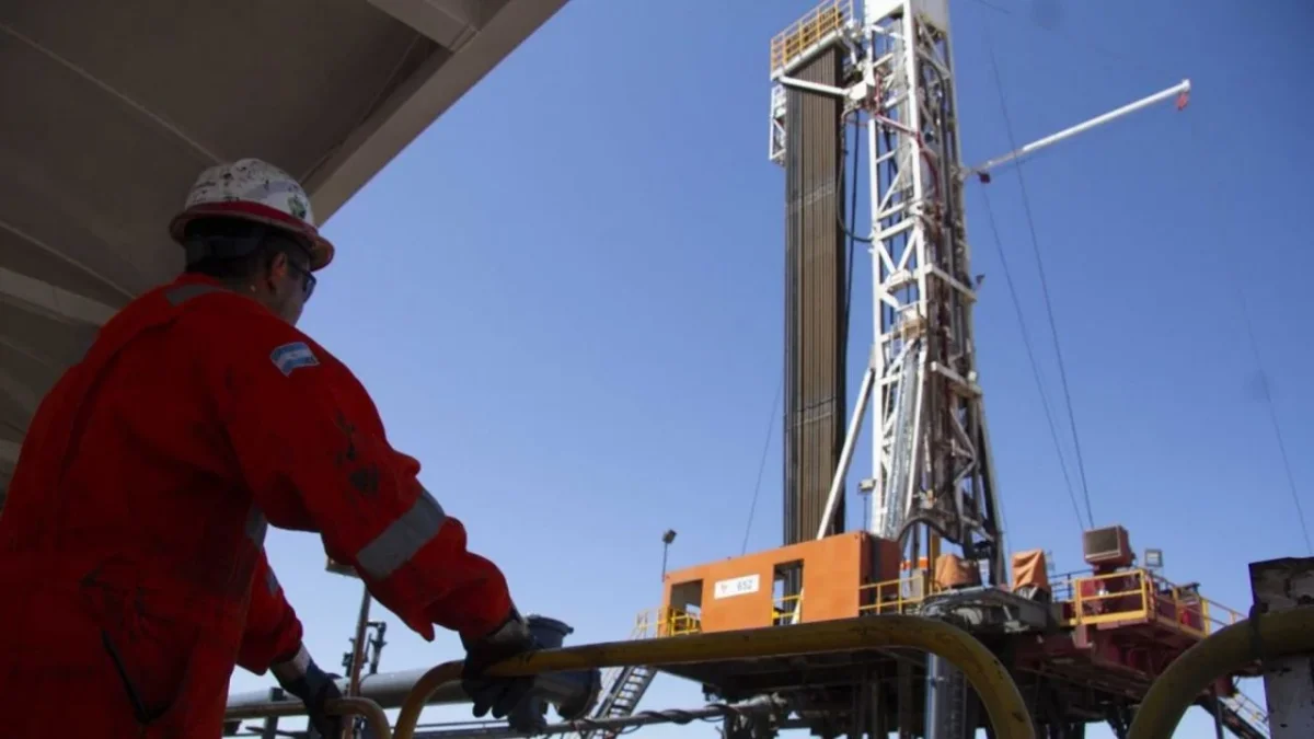 Crecimiento del 10,5% en la terminal portuaria de Coronel Rosales por Vaca Muerta