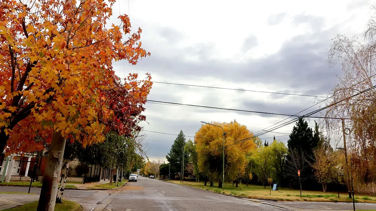 Descenso de temperatura: un martes frío reemplaza al clima primaveral en Neuquén