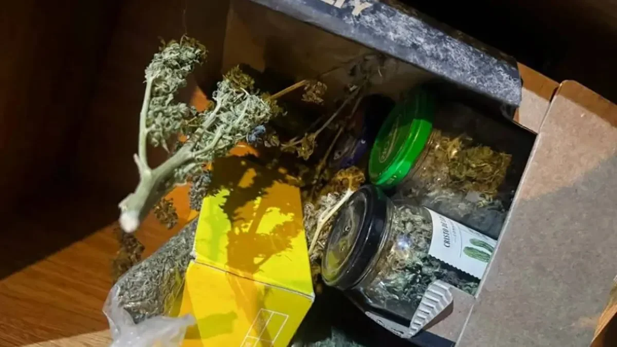 Desmantelan red delictiva tras hallar droga y un arma en investigación por robo de ganado