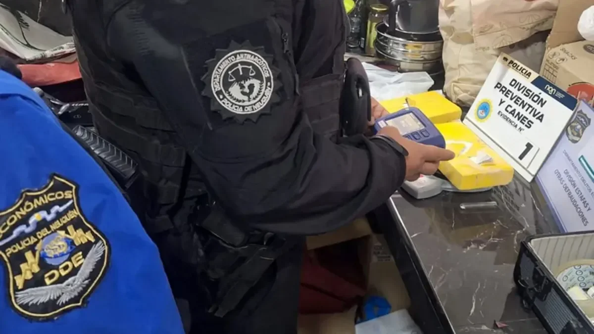 Detención de delincuentes en Neuquén tras estafa a anciana y hallazgo de drogas y armas