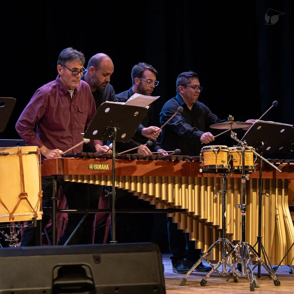 Festival Internacional de Percusión en Roca: artistas destacados y detalles de entradas