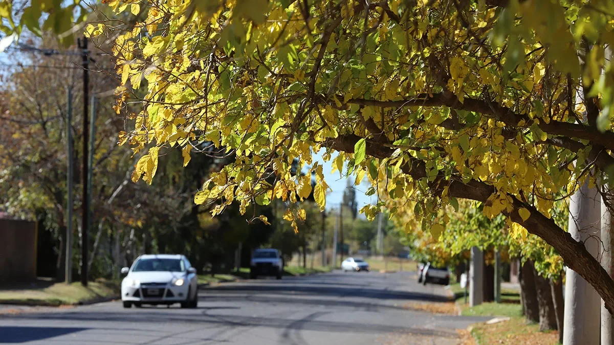 Fin de semana largo en Neuquén: variaciones de temperatura a la vista
