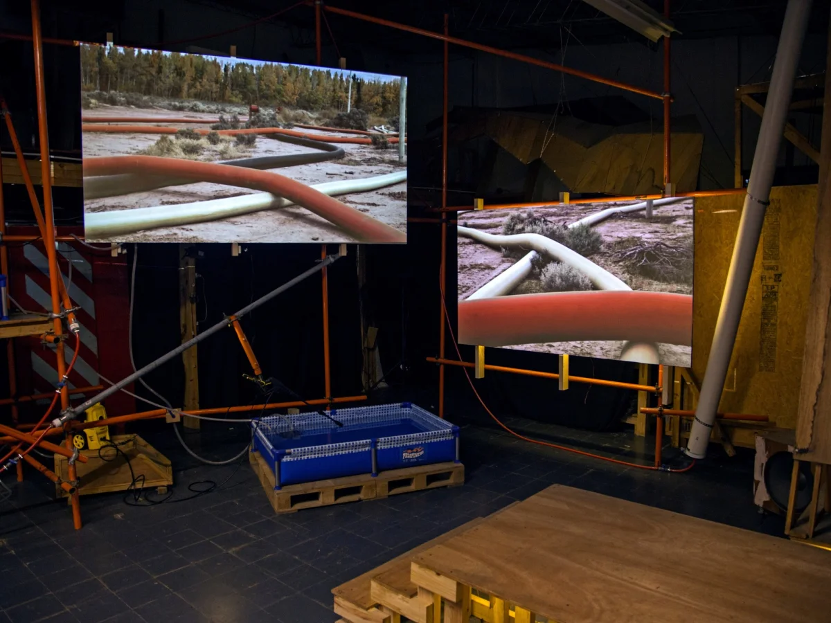 Geonnitus: un viaje sonoro entre el fracking y la naturaleza en Neuquén