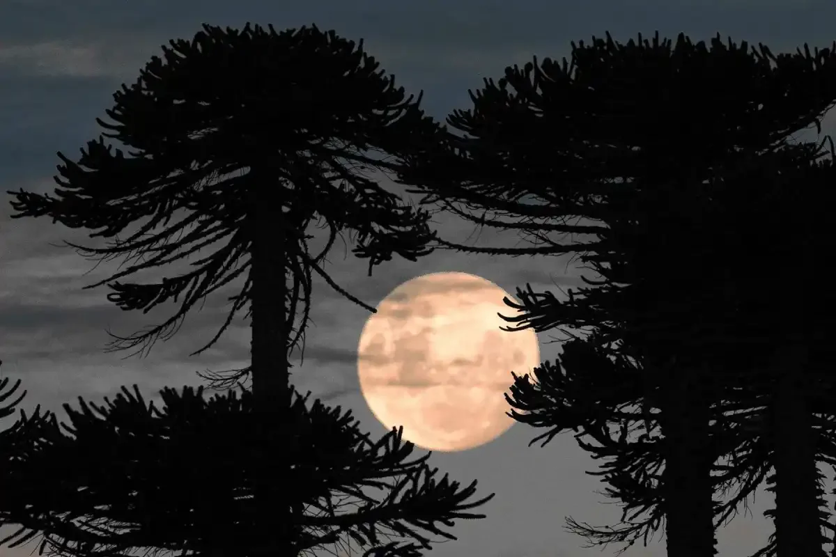 La luna de Fresa iluminará el cielo patagónico con su brillo especial esta noche