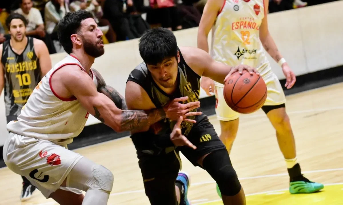 Liga Federal de básquet: equipos neuquinos listos para enfrentar el desafío del ascenso