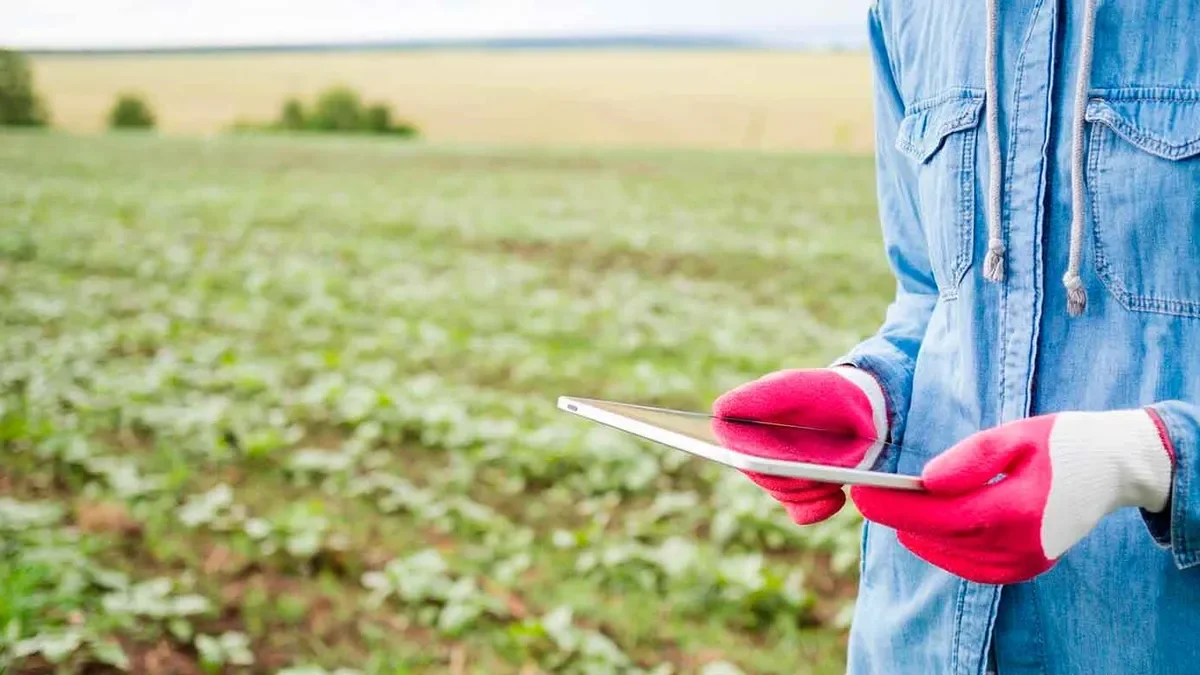 Los sueldos de ingenieros agrónomos en la Patagonia: diferencias y desafíos actuales
