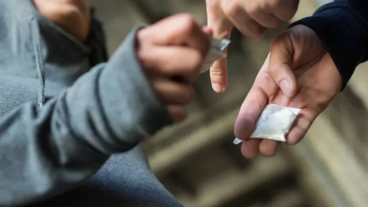 Mamás en Acción: una lucha comunitaria contra el narcotráfico en la región