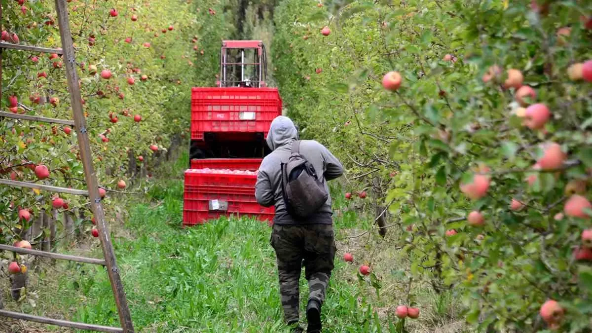 Medidas fiscales y reducción de costos energéticos buscan revitalizar el agro en Neuquén