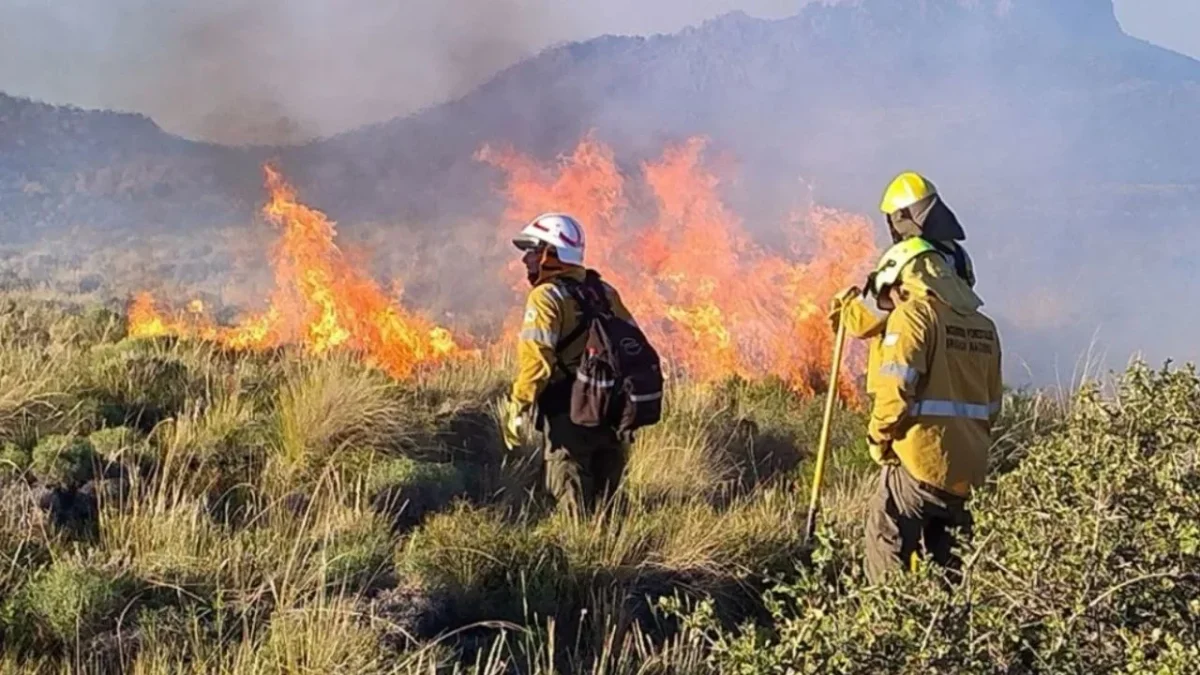 Neuquén envía ayuda a Chile: brigadistas y vehículos para combatir incendios