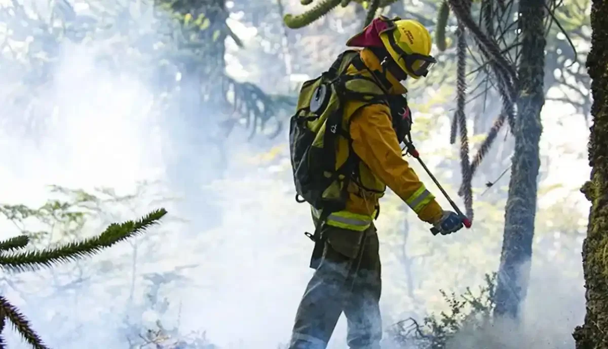Neuquén envía ayuda a Chile en la lucha contra incendios forestales