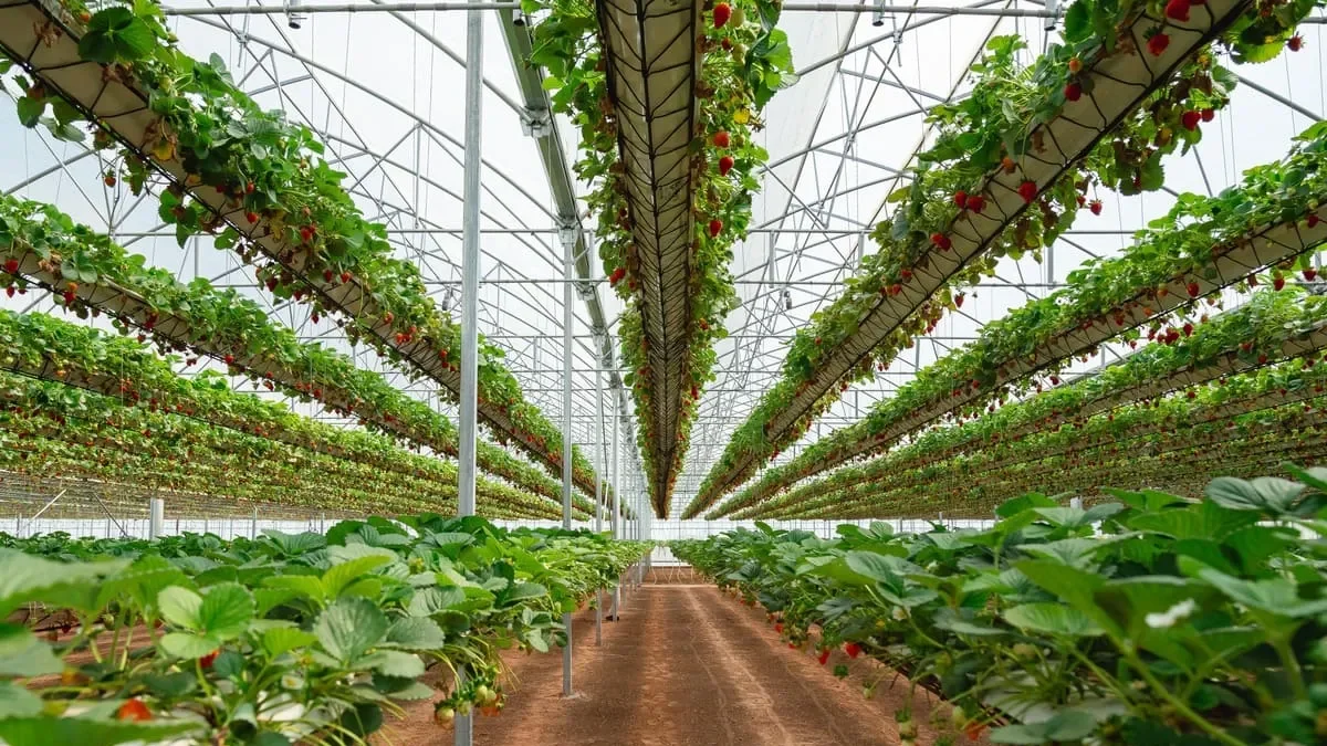 Neuquén extiende el bono de Ingresos Brutos para fomentar inversiones en la provincia