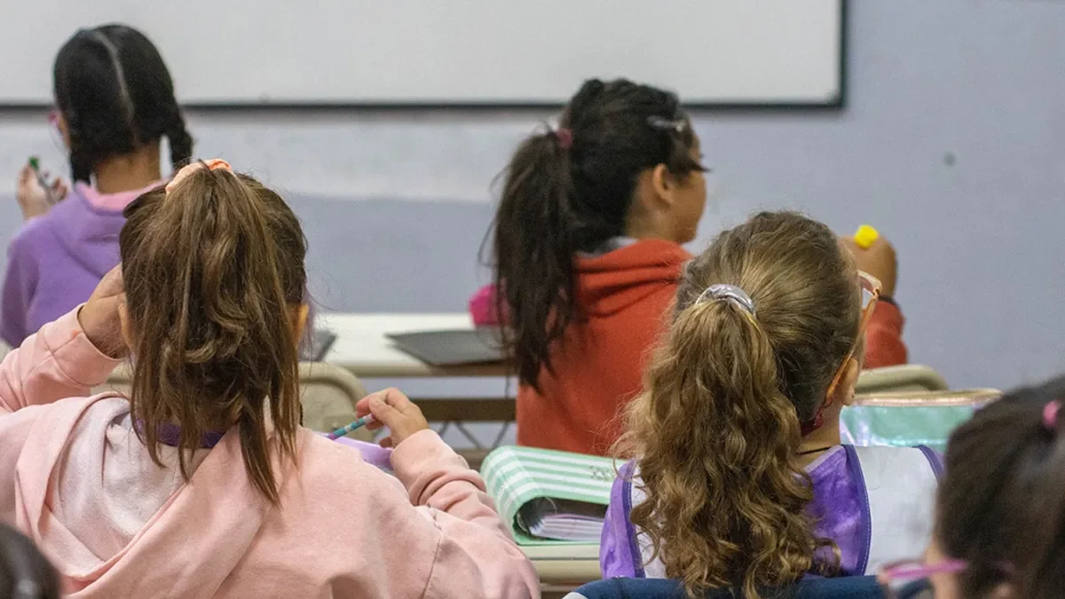 Neuquén recibe reconocimiento de la UNESCO por las becas Gregorio Álvarez