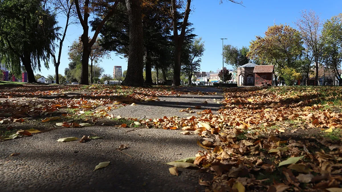Prevén un fin de semana ventoso y nublado en Neuquén
