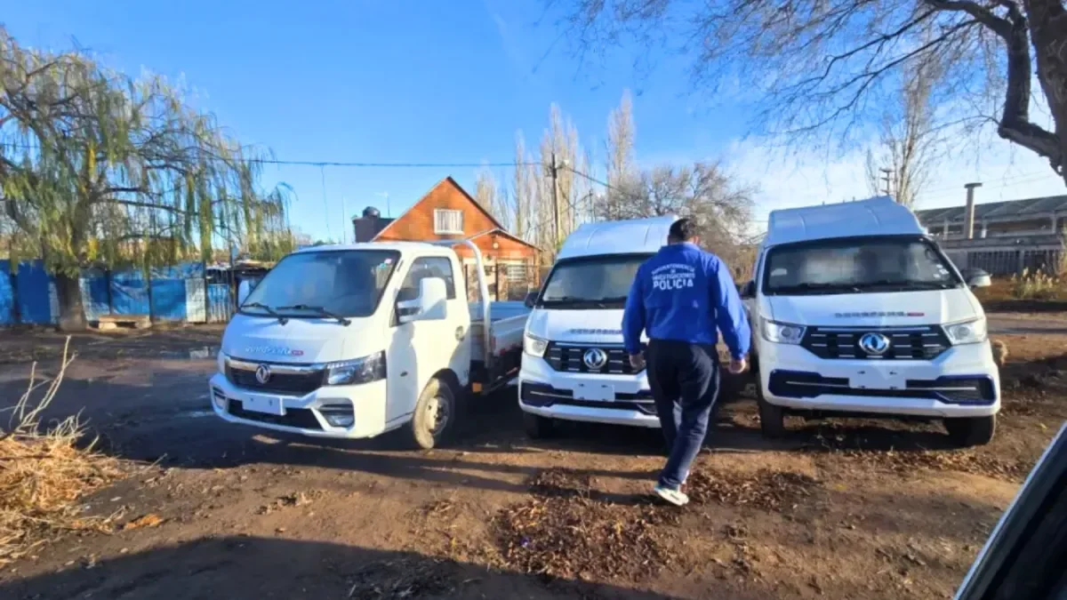 Recuperan camiones robados en Neuquén: un operativo exitoso en Cipolletti
