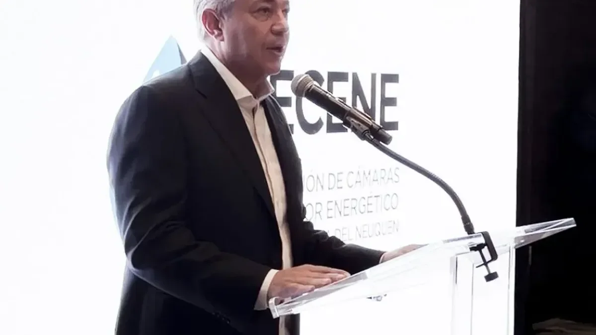 Vaca Muerta en el centro del debate: Figueroa destaca su potencial en Houston