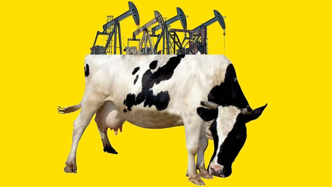 Vaca Muerta: expectativas de inversión millonaria que impactarán en la economía nacional