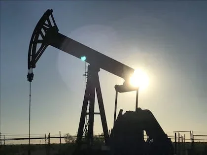 Vaca Muerta registra un aumento significativo en la producción de petróleo para los próximos años