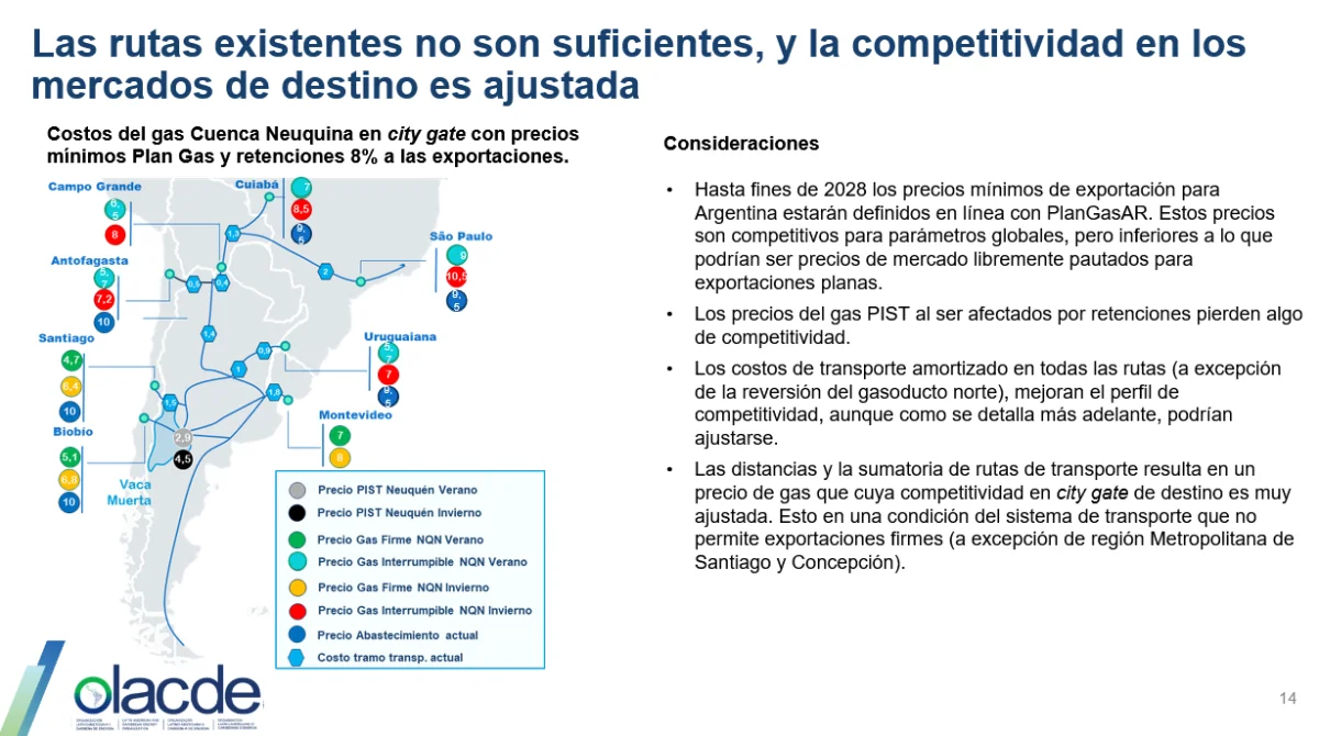 Vaca Muerta y su potencial: Brasil podría beneficiarse de gas natural competitivo
