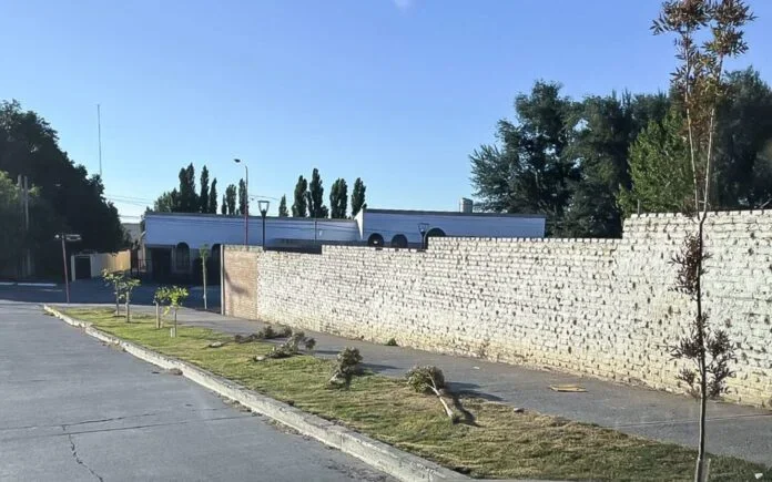 Vecinos de Zapala expresan su malestar por el vandalismo a los árboles locales